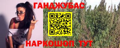 mdma Аргун