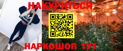 mdma Аргун